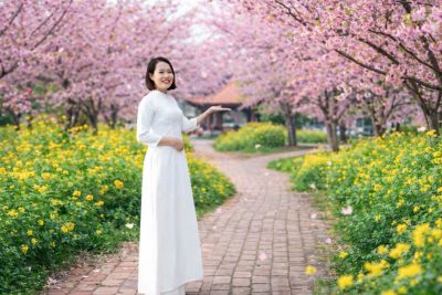 BÙNG NỔ VINH QUANG – DẤU ẤN TỰ HÀO TỪ TÌNH YÊU DI SẢN.